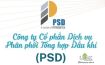 Lắp đặt hệ thống tủ kệ văn phòng PSD