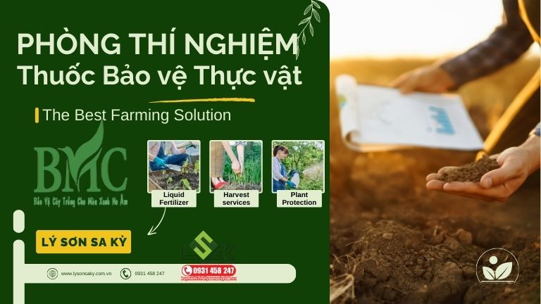 Thi công nội thất phòng thí nghiệm thuốc bảo vệ thực vật BMC