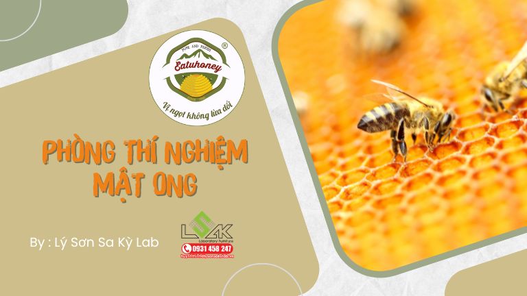 Lắp đặt nội thất phòng thí nghiệm mật ong Eatuhoney