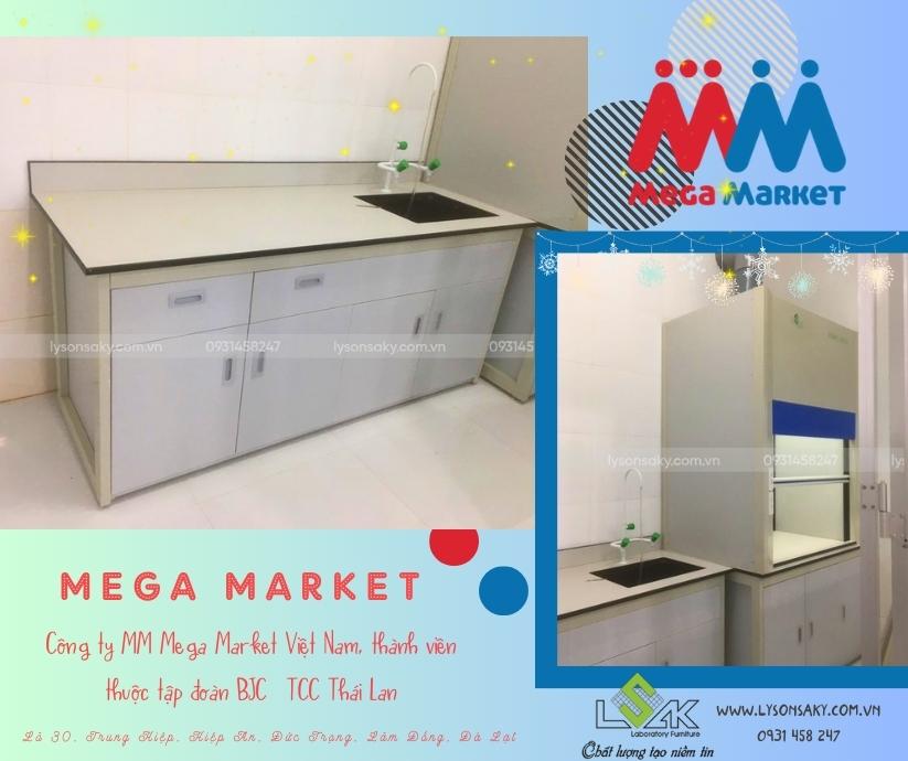 Lắp dặt bàn thí nghiệm, tủ hút khí độc phòng Lab Trung tâm MM Mega Market