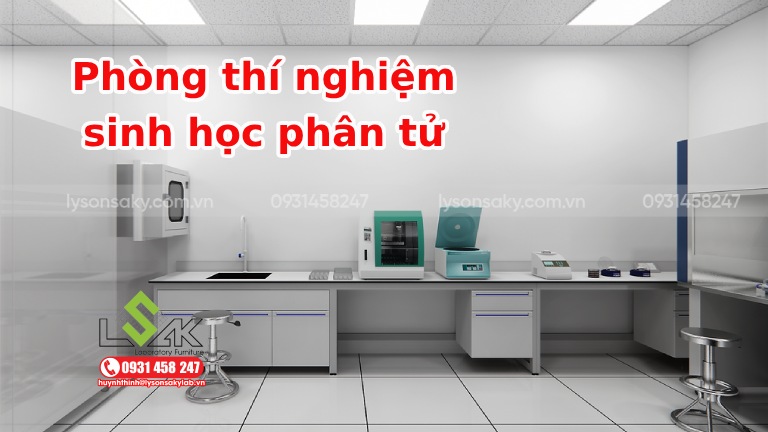 Phòng thí nghiệm sinh học phân tử