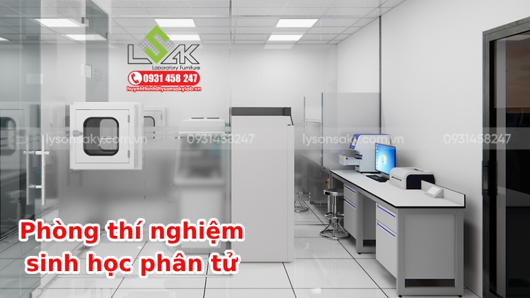 Phòng thí nghiệm sinh học phân tử