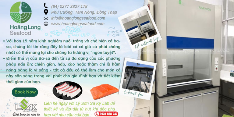 Lắp đặt tủ hút khí độc cho Hoàng Long Seafood