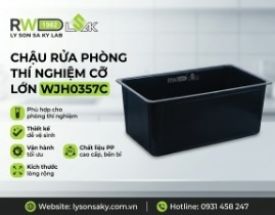 Chậu rửa phòng thí nghiệm, loại lớn