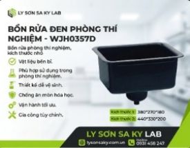 Chậu rửa phòng thí nghiệm, loại nhỏ
