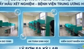 Bệnh viện Trung ương Huế sử dụng bàn lấy mẫu xét nghiệm và vách kính cường lực do Lý Sơn Sa Kỳ Lab