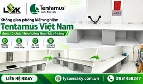 Không gian phòng kiểm nghiệm Tentamus Việt Nam được tổ chức theo luồng thao tác rõ ràng