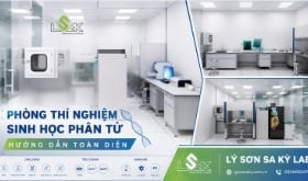 Phòng Thí nghiệm Sinh học Phân tử: Hướng dẫn Toàn Diện