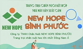 Thi công lắp đặt nội thất phòng thí nghiệm nhà máy cám New Hope Bình Phước