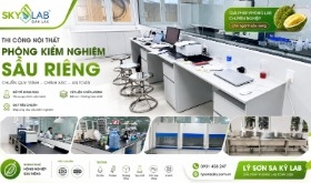 Thi công nội thất phòng kiểm nghiệm nông sản cho SKY LAB Đắk Lắk