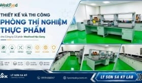 Thi công nội thất phòng lab Công ty Cổ phần Westfood Hậu Giang