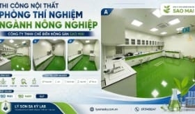 Thi công nội thất phòng lab Công ty TNHH Chế Biến Nông Sản Sao Mai