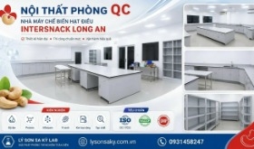 Thi công nội thất phòng thí nghiệm Nhà máy Chế biến hạt điều Intersnack Long An