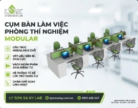 Bàn làm việc nhân viên