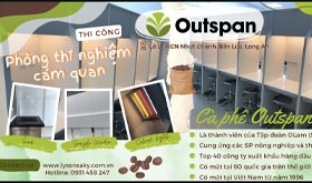 Lắp đặt bàn thí nghiệm cảm quan cho Cafe Outspan